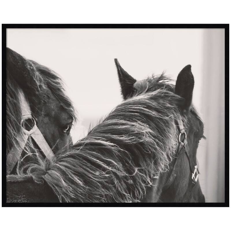 Kate and Laurel Black Horses by Emiko and Mark Franzen F2 Images Framed Wall Art Print - 41 x 33 - Black