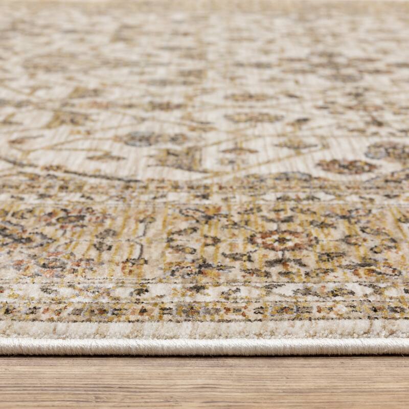 Style Haven Marley Bordered Traditional Fringed Area Rug