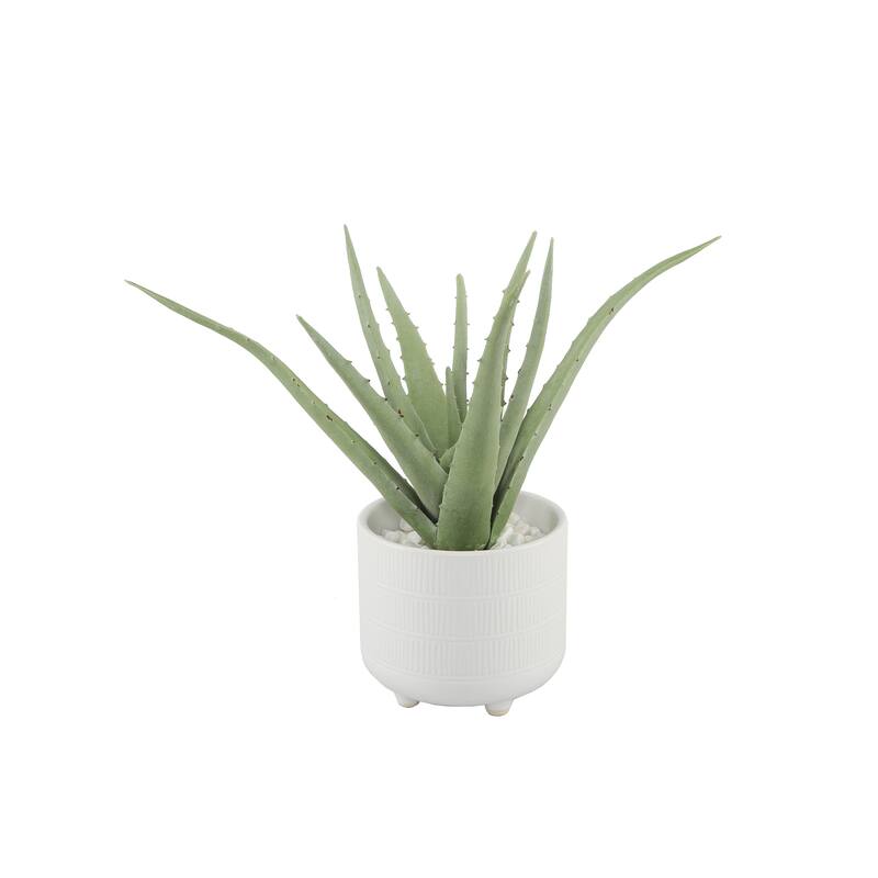 14" Aloe in 6" Barcode Footed Ceramic - 10"H Small