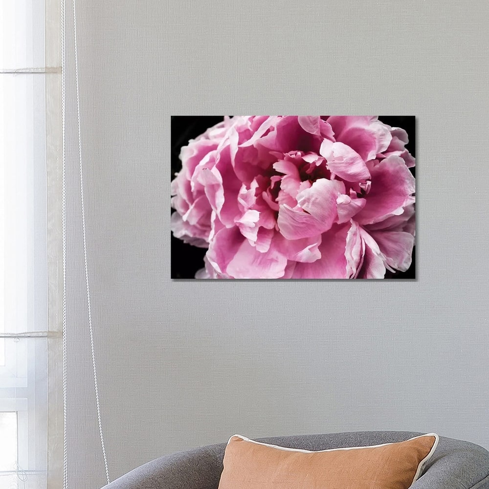 iCanvas "Pink Peony Passion IV" by Irena Orlov Canvas Print