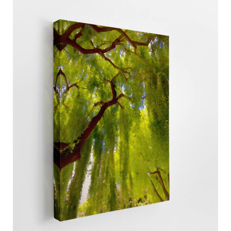 Fine Art Studio LLC Big Shade II by R. Bolokofsky