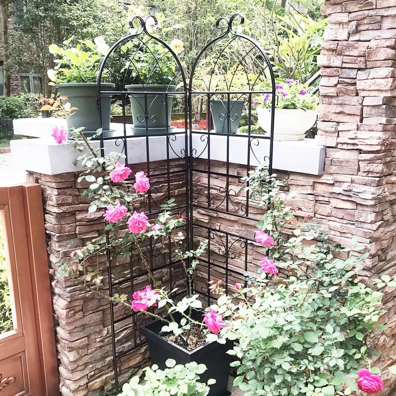 71" x 19.7" Balck Metal Garden Trellis for Climbing Plants Outdoor Flower Support （2 Pack）