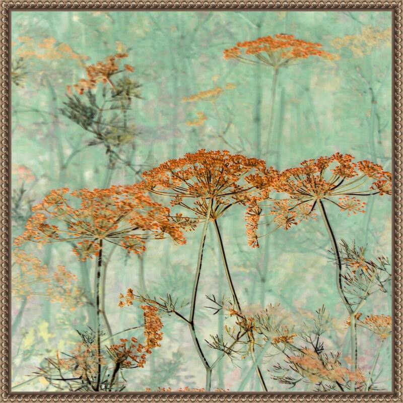 Spice Beauty by Mirella Pavesi Framed Canvas Wall Art Print