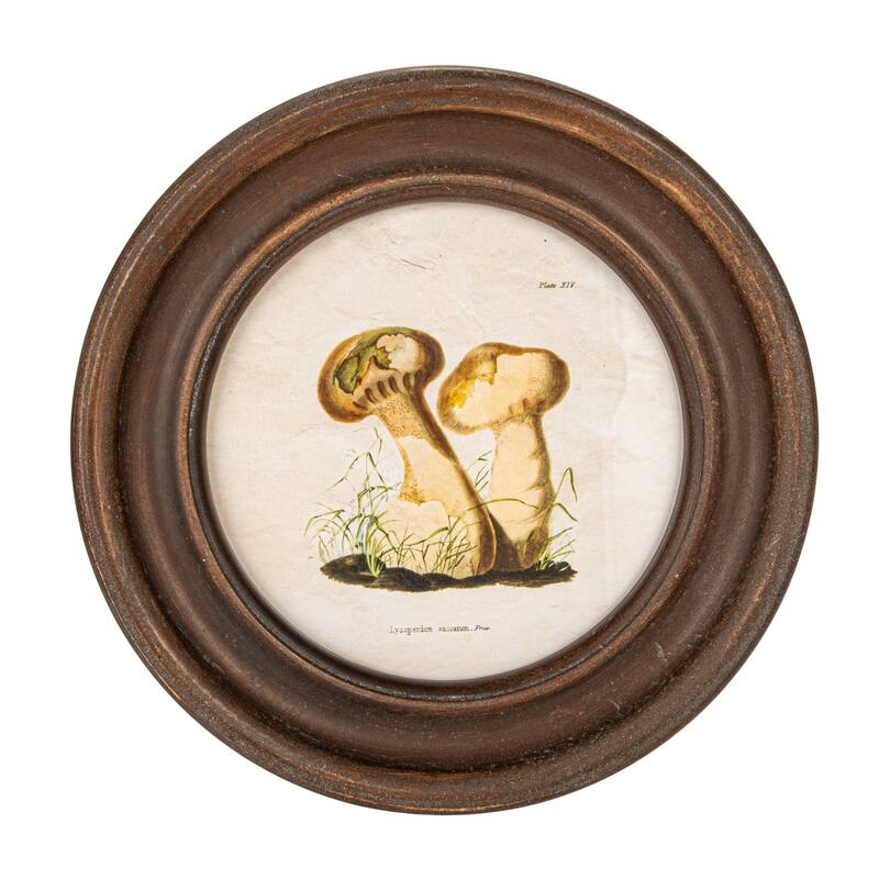 Reclaimed Wood Framed Mushroom Print Wall Art