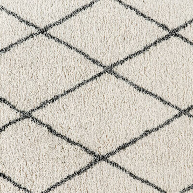 Shag Style Diamond Trellis Area Rug