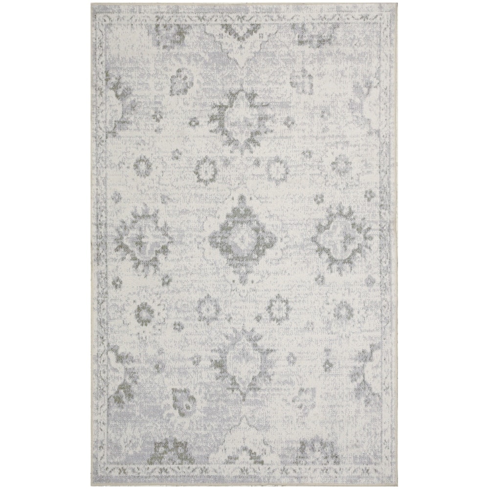 Nourison Astra Machine Washable Indoor only Persian Area Rug