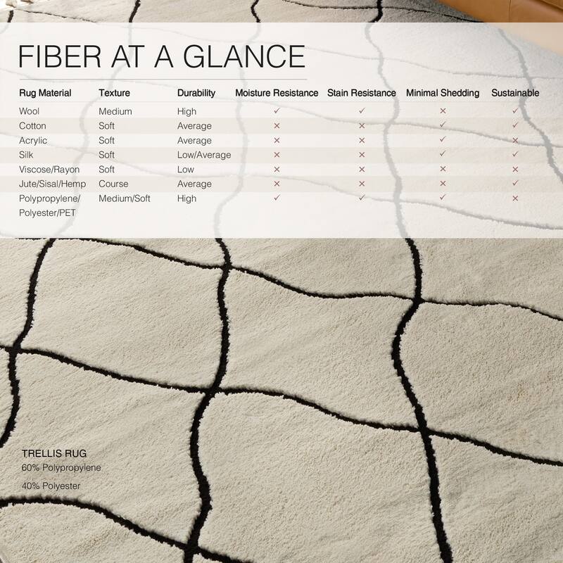 Treble Trellis Ivory/ Black Area Rug.