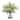 Uttermost Woodland Fern Centerpiece