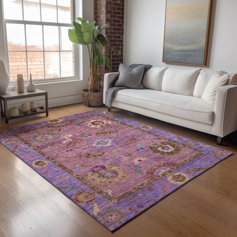 Machine Washable Indoor/ Outdoor Traditional Boho Chantille Rug