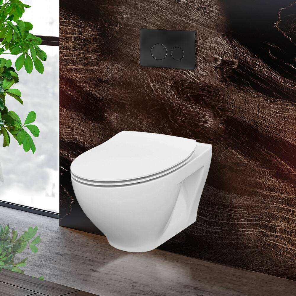 Toilet Combo Set - 20" Toilet Bowl With Soft-Close Seat, 2"x 6" Concealed Tank/Carrier System, Push Buttons Included.