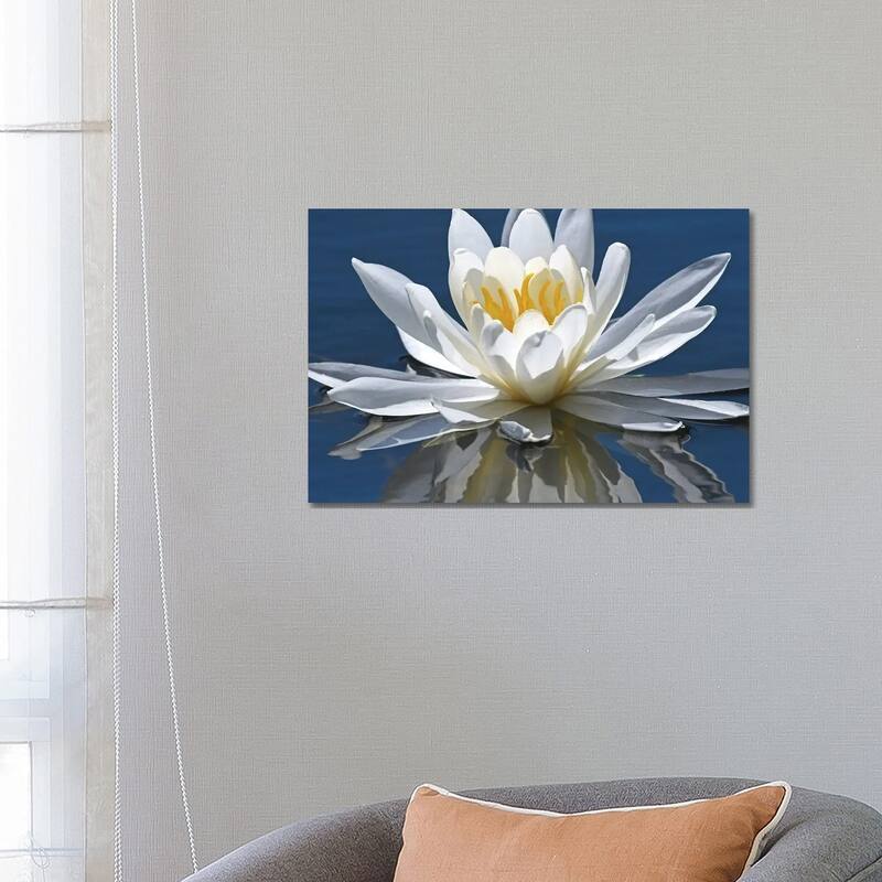 iCanvas "Reflection Of Water Lily" by Brian Wolf Canvas Print - 18x26x1.5