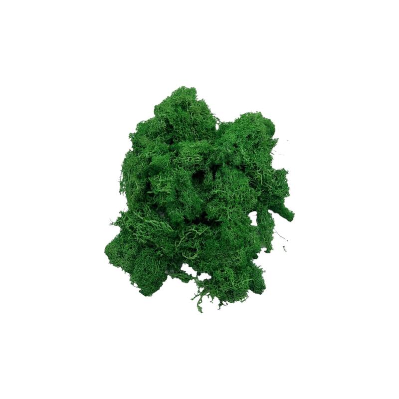 Preserved Reindeer Moss in Multiple Colors