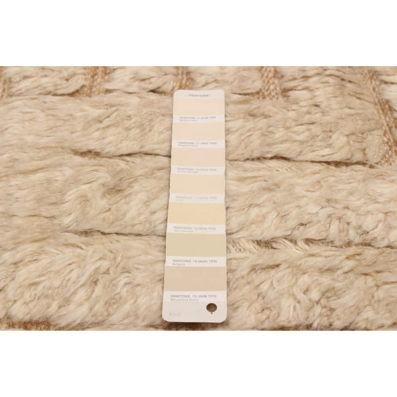 ECARPETGALLERY Hand-knotted Tangier Cream Wool Rug - 9'9 x 13'9