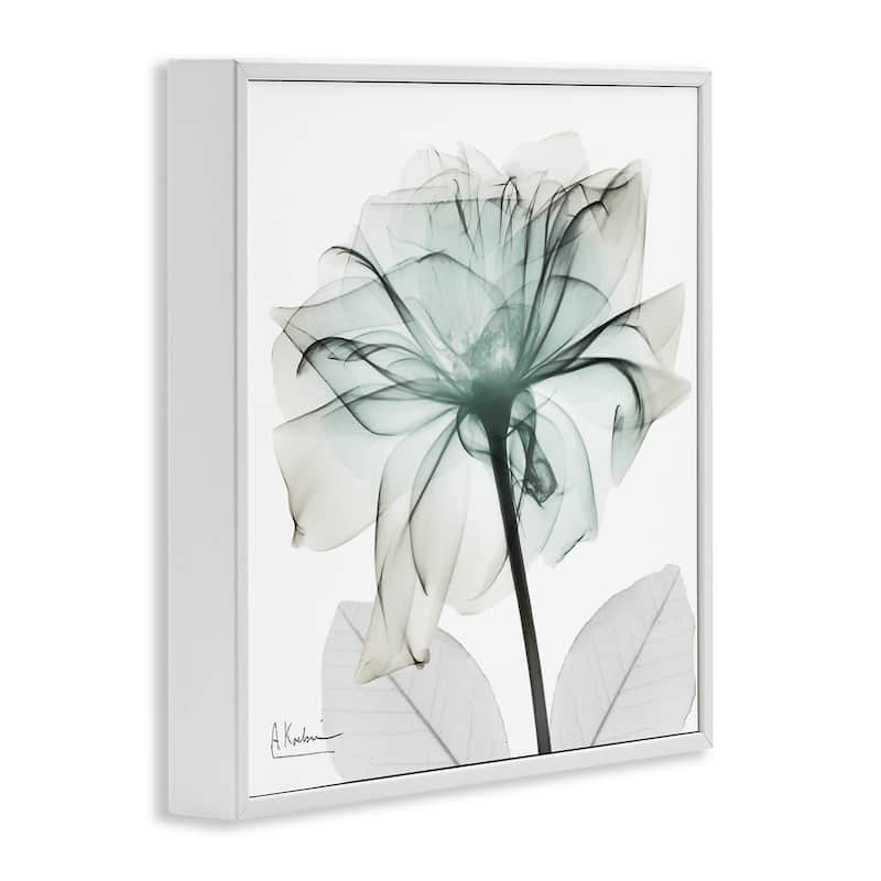 Stupell Unique Chic Flower Petal Framed Giclee Art Design By Albert Koetsier
