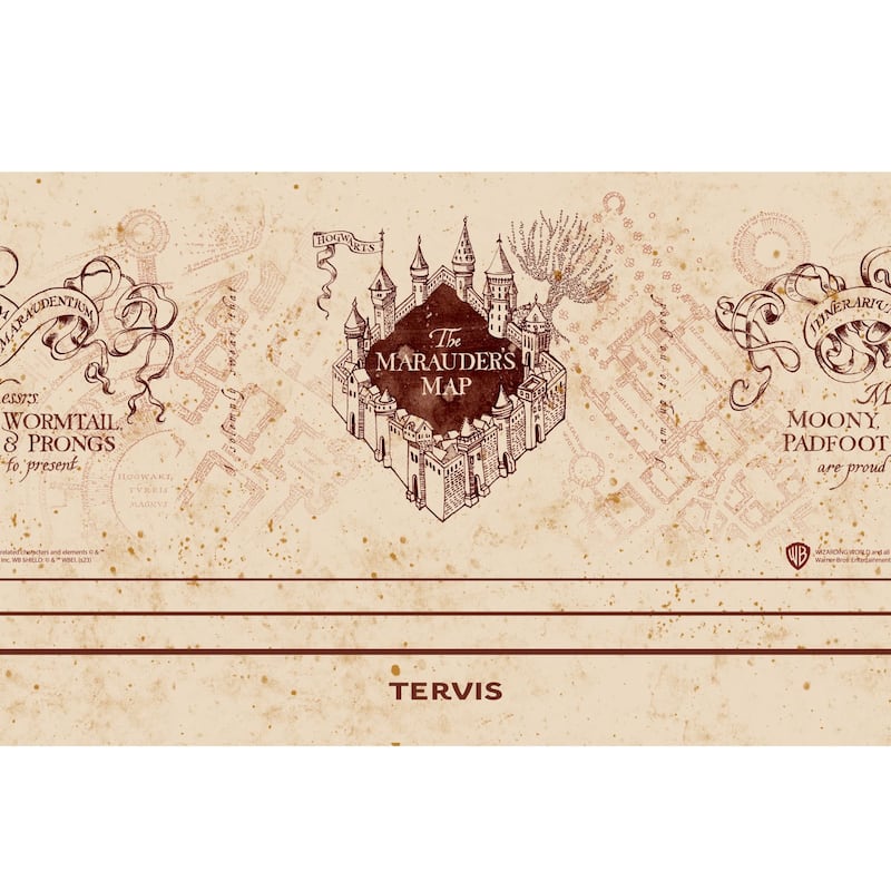 Tervis Traveler Harry Potter The Marauder's Map Triple Walled Insulated Tumbler Travel 30oz, Stainless Steel