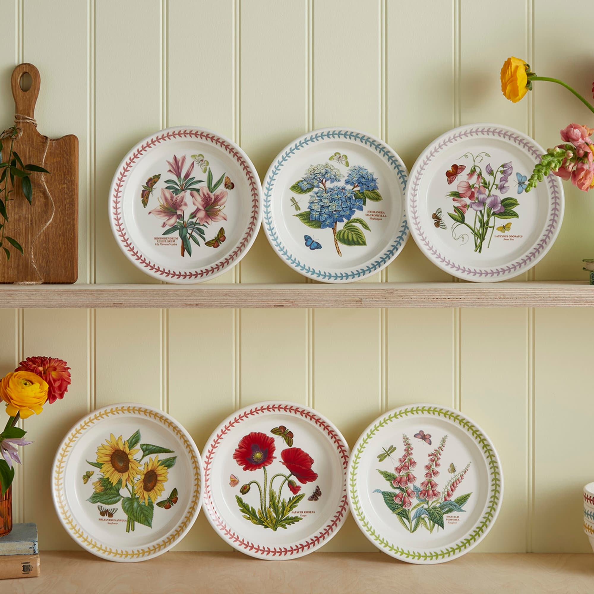 Portmeirion Botanic Garden Set of 6 Meadow Salad Plates - 8 in