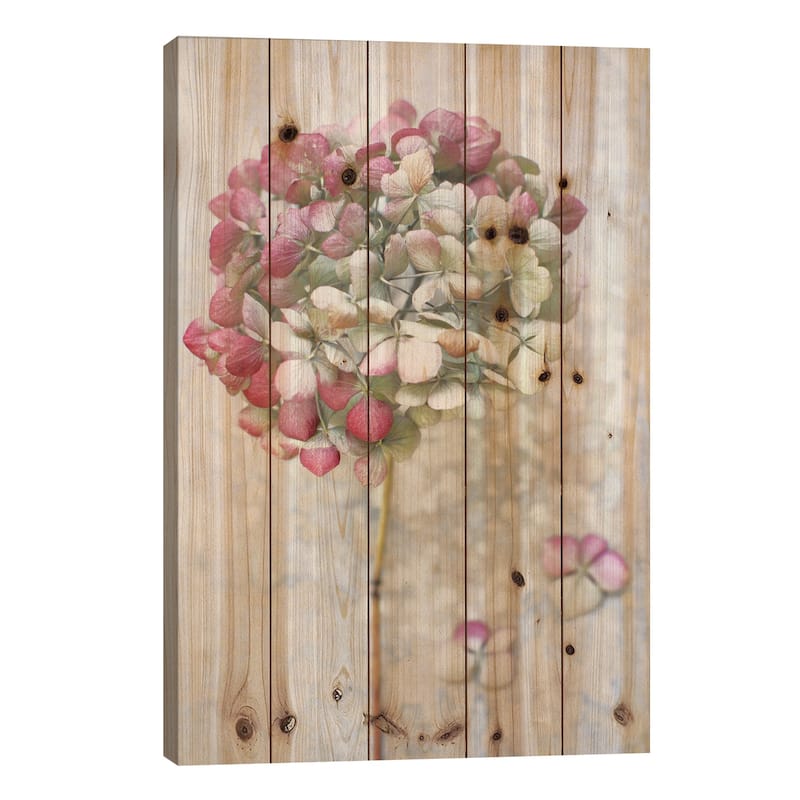 Pastel Dried Hydrangea II Print On Wood by Alyson Fennell - Multi-Color - 26x18x1.5