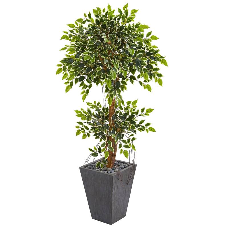 Variegated Artificial Tree - 5ft Indoor Faux Tree in Slate Planter - Home Decor Accent - Green - 61 Inches and Over