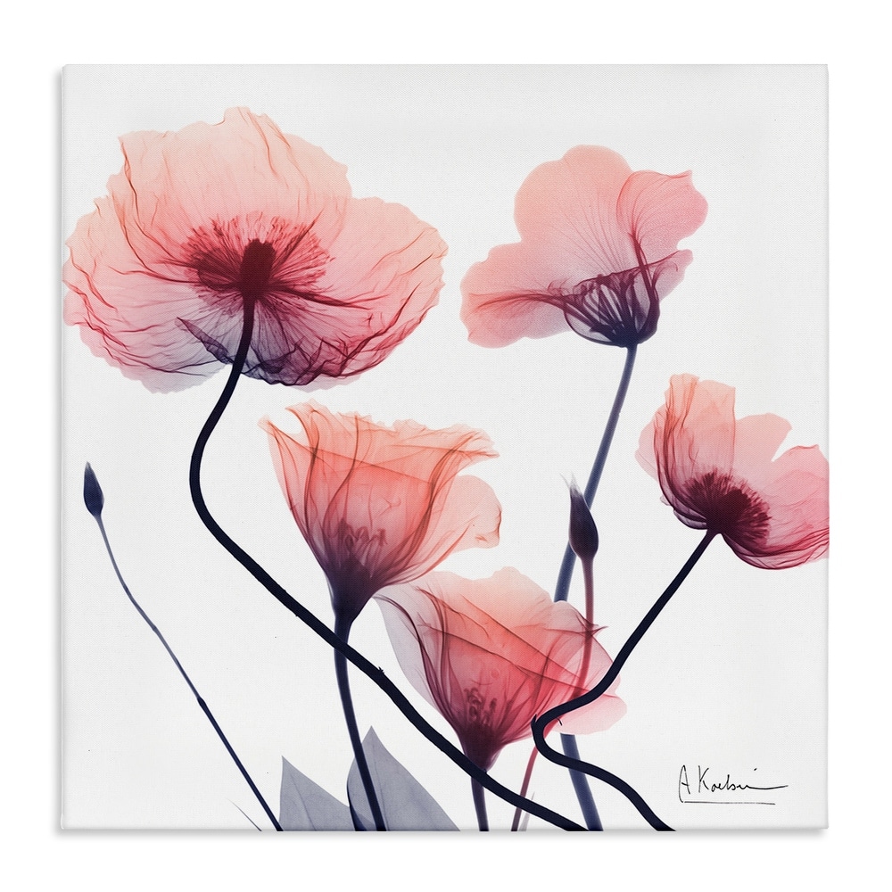 Stupell Pink Chic Simple Flowers Canvas Wall Art Design By Albert Koetsier