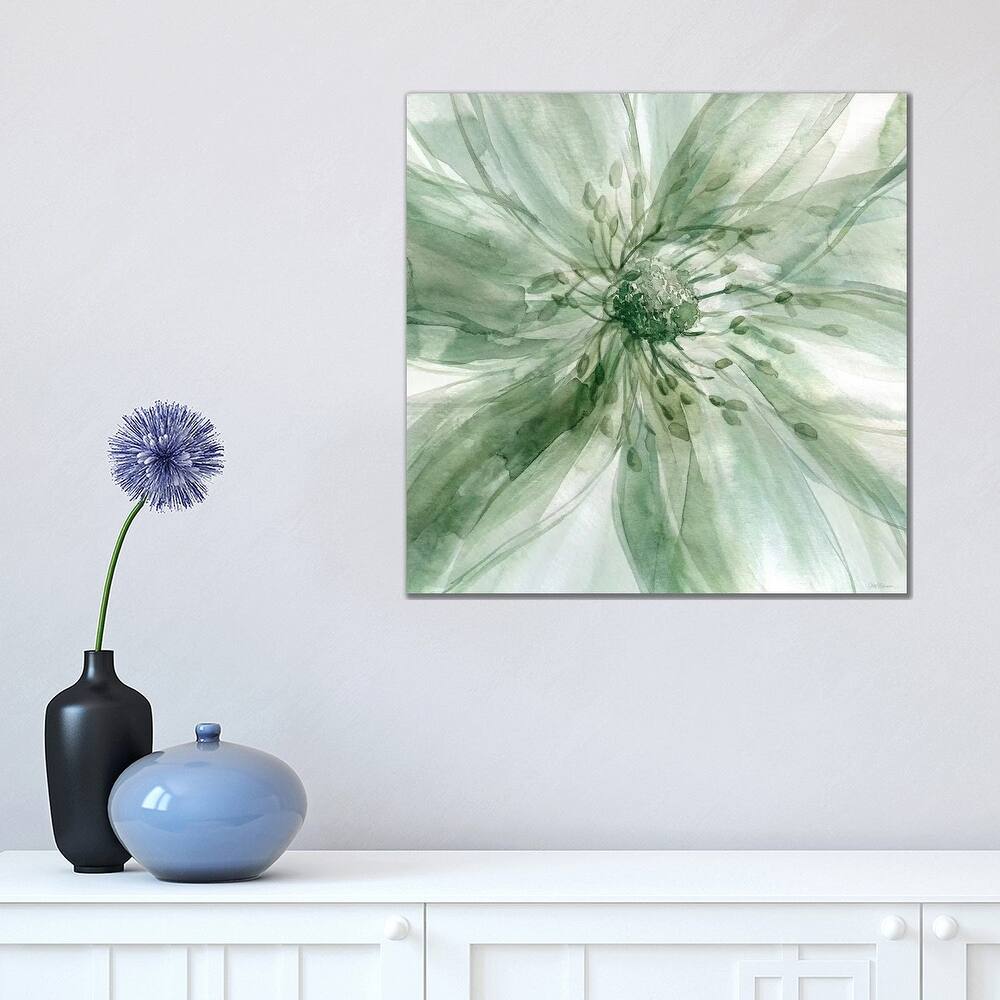 iCanvas "Macro Sage Flower I" by Carol Robinson Canvas Print