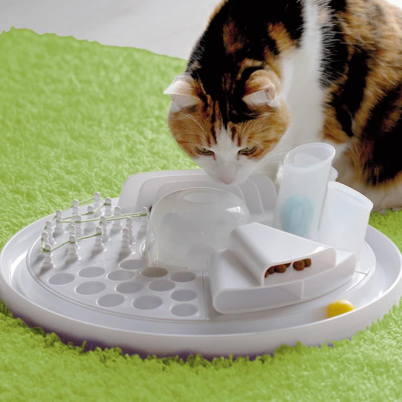 7-In-1 Deluxe Cat Activity Center