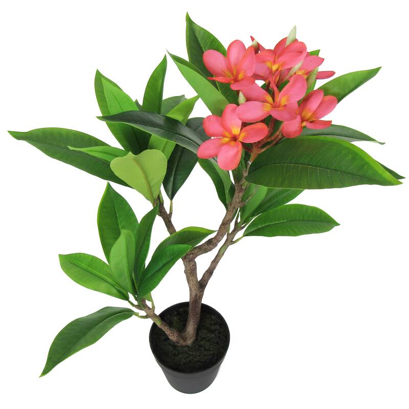 2.25ft Fuchsia Artificial Plumeria Flower Tree Tropical Plant in Black Pot - 27" H x 20" W x 17" DP