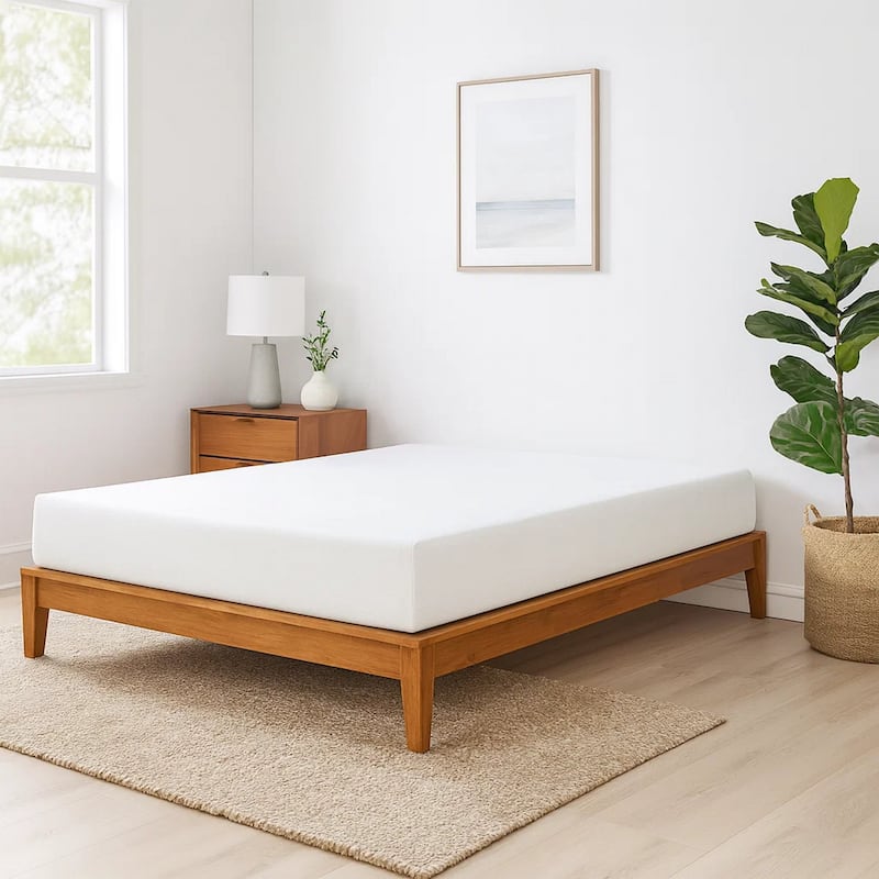 Bree 8 Inch Plush Queen Size Mattress with Cool Gel Foam, Aloe Vera Infused