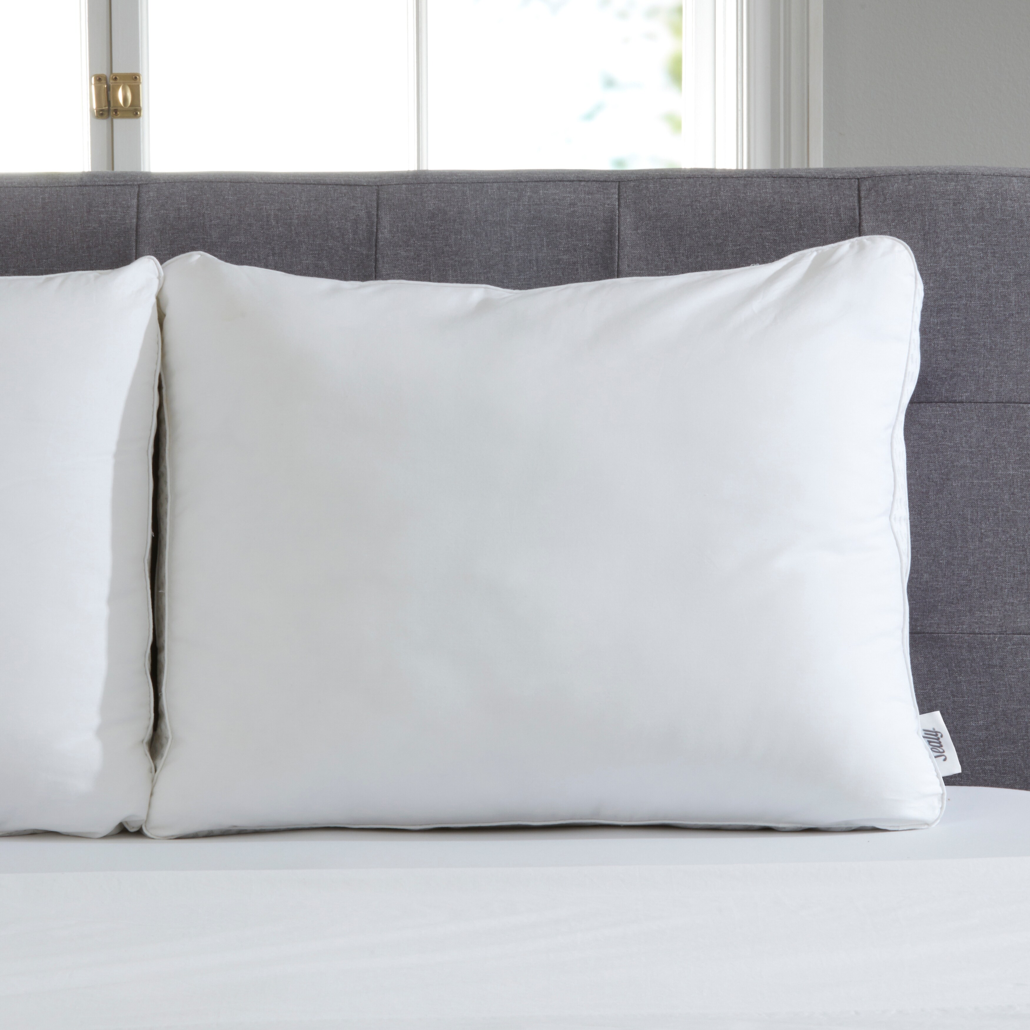 Sealy cheap down pillow