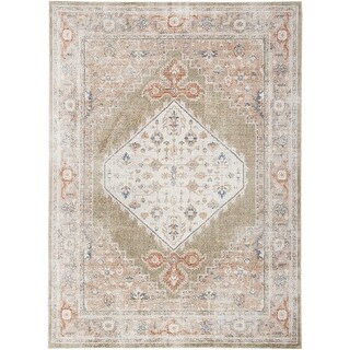 Nourison Astra Machine Washable Distressed Area Rug.