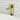VIGO Norfolk 11" H Single Handle Single Hole Bathroom Vessel Faucet