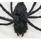 preview thumbnail 2 of 0, 25" Animated Halloween Spider
