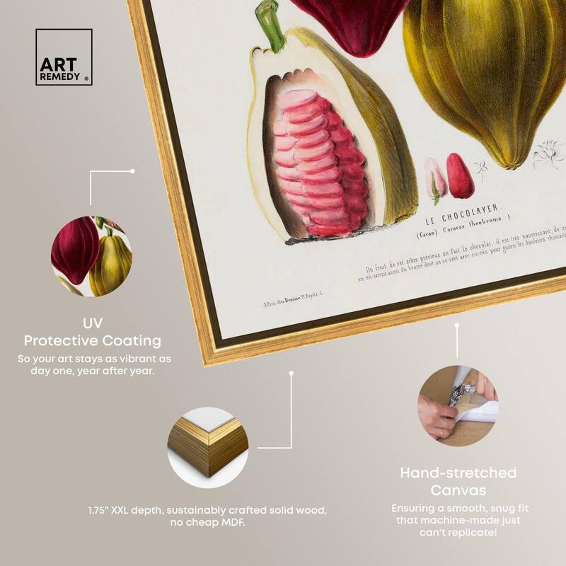 Cocoa Cacao by Etienne Denisse Canvas by Art Remedy