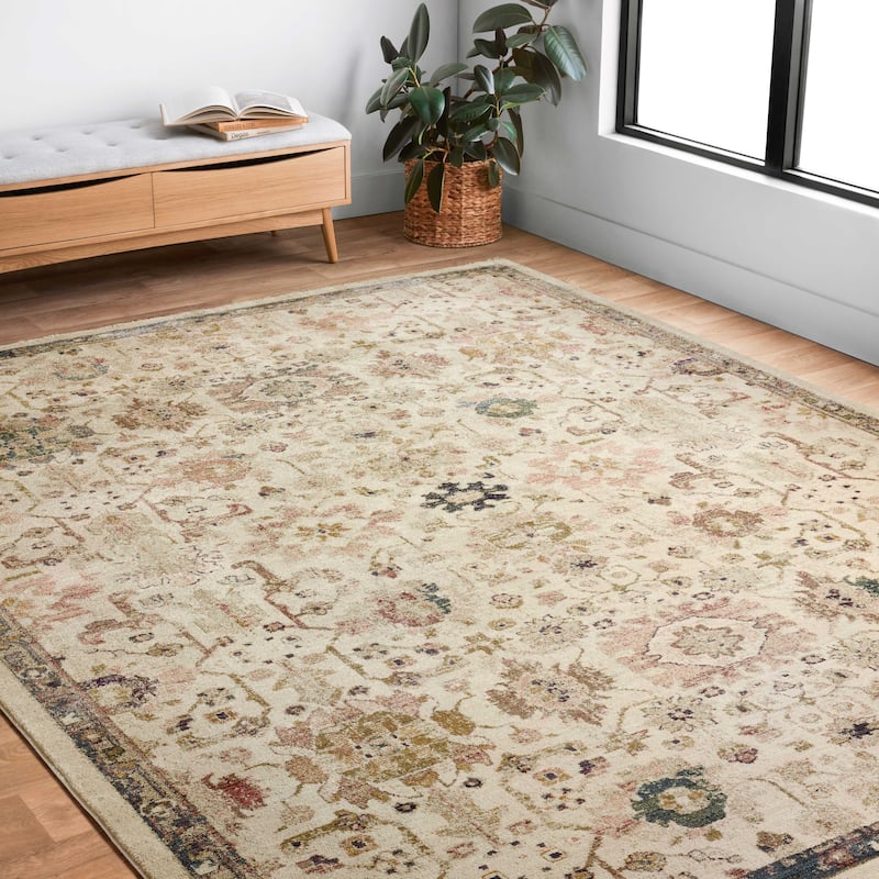 Alexander Home Jewel Shabby-Chic Oriental Area Rug - 10' x 14' - Ivory / Multi - Runner/Rectangle