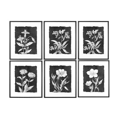 Black & White Floral Images Wall Decor with Wood Frames (Set of 6 Designs)