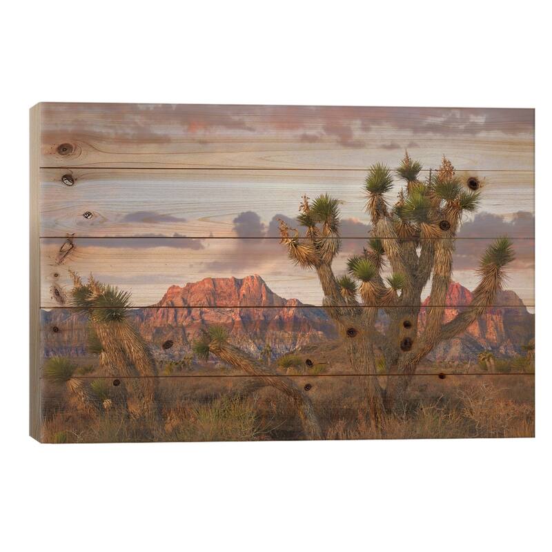 Joshua Tree And Spring Mountains At Red Rock Canyon National Conservation Area,Las Vegas,Nevada Print On Wood by Tim Fitzharris - 18x26x1.5