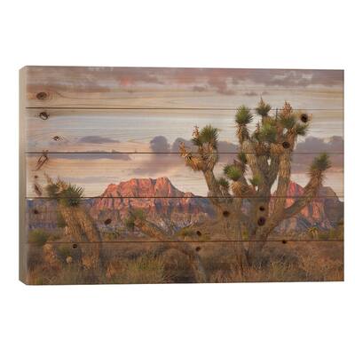 Joshua Tree And Spring Mountains At Red Rock Canyon National Conservation Area,Las Vegas,Nevada Print On Wood by Tim Fitzharris