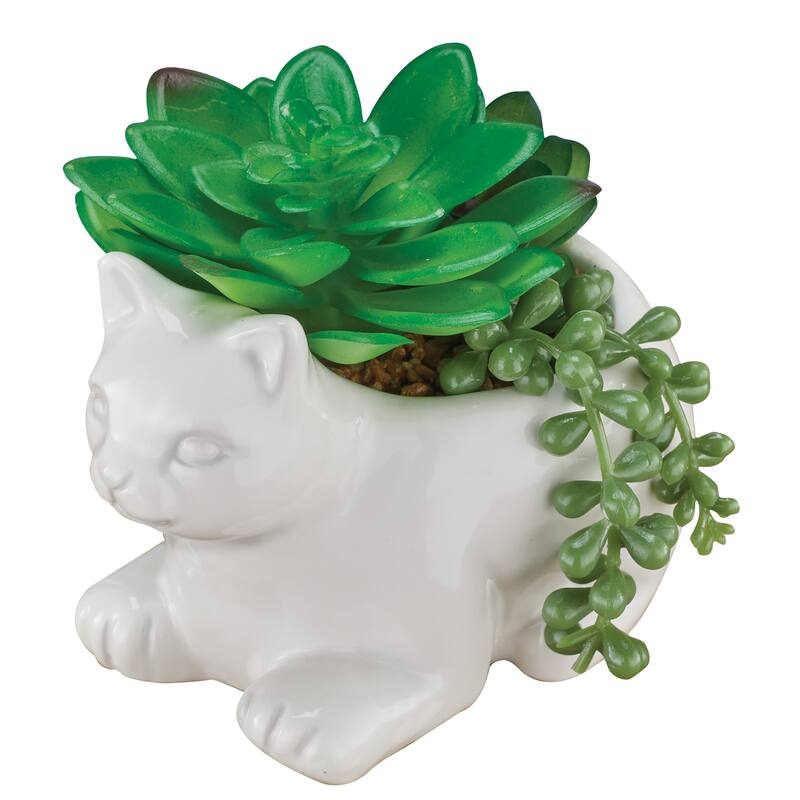 Fake Succulent Arrangement in White Ceramic Cat Pot - 5 x 5 x 4