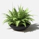 preview thumbnail 83 of 110, Mason Series Lane Bowl Planter