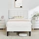 Option White