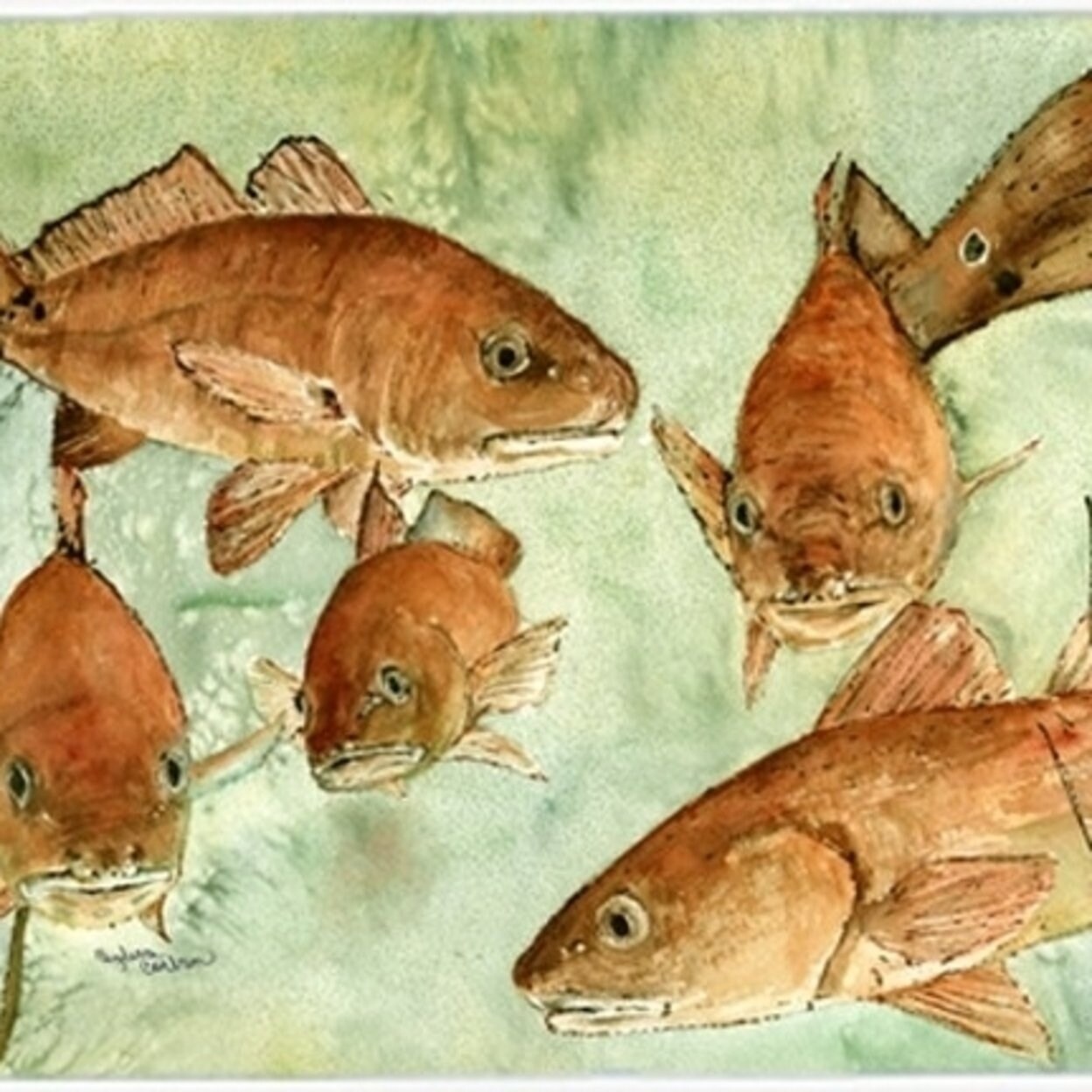 Multicolor Carolines Treasures 8983CMTRed Fish Swim Kitchen or Bath Mat 20 H x 30 W