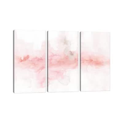 iCanvas "Rainbow Seeds Abstract Blush Gray Crop" by Lisa Audit 3-Piece Canvas Wall Art Set