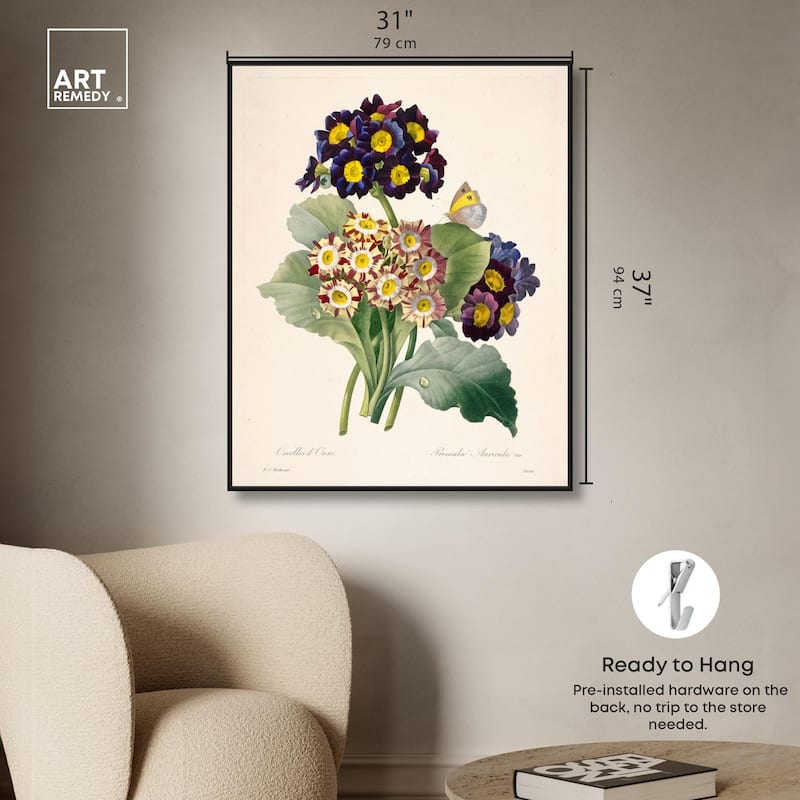 Auricula Varieties Canvas by Art Remedy