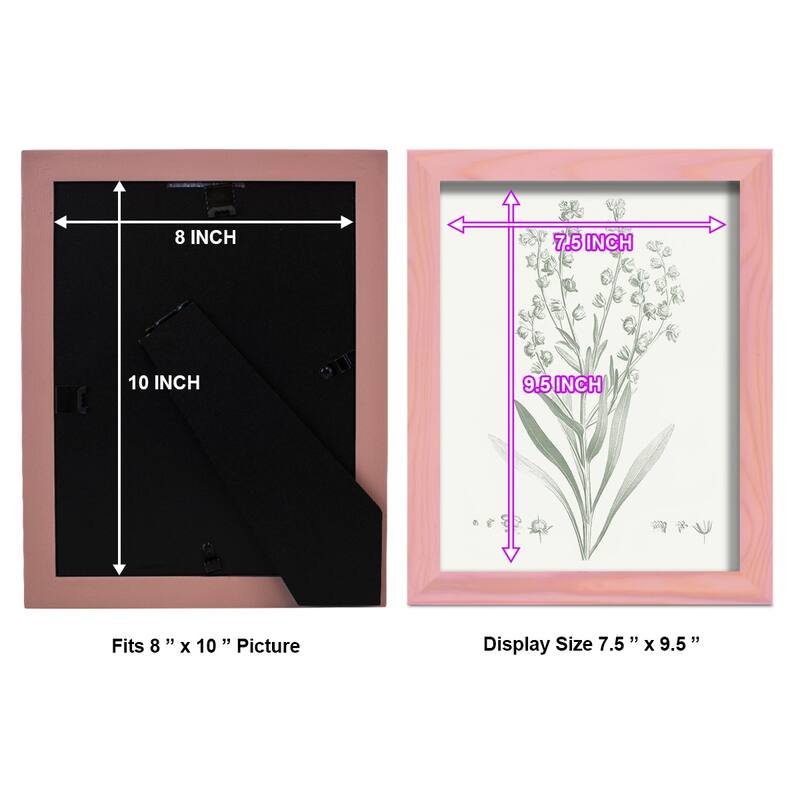 Botanical Study in Sage I -Framed Print w/glass-Cherry Red