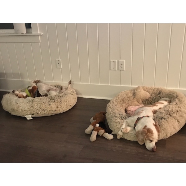 Top Product Reviews for Best Friends by Sheri Donut Shag Dog ...