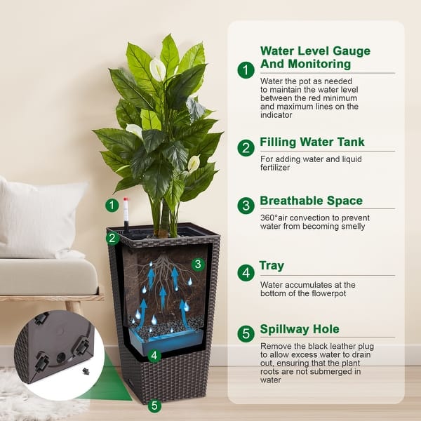 where can i buy terrarium plants Vibrant Oasis Terrarium Plant Pack for biOrb AIR 30 main image 0