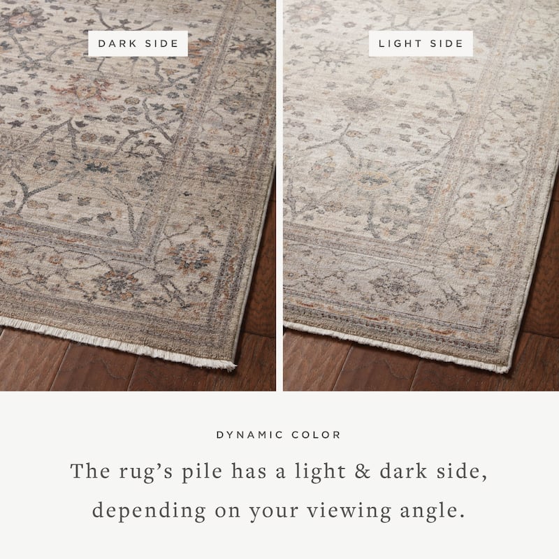 Alexander Home Lynda Vintage Botanical & Floral Area Rug