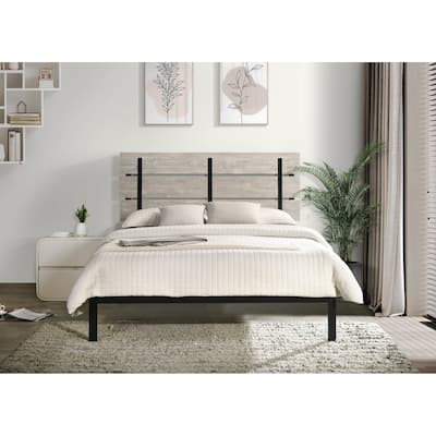 Hayward Metal Platform Bed