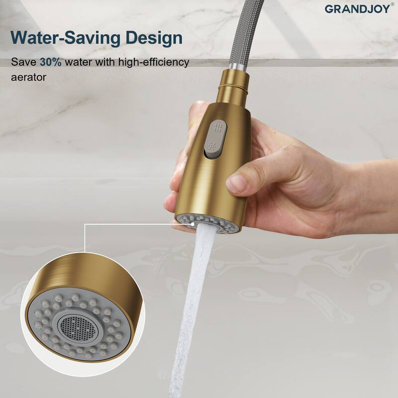 GRANDJOY Single Handle Pull Down Kitchen Faucet with Spot Resistant Finish