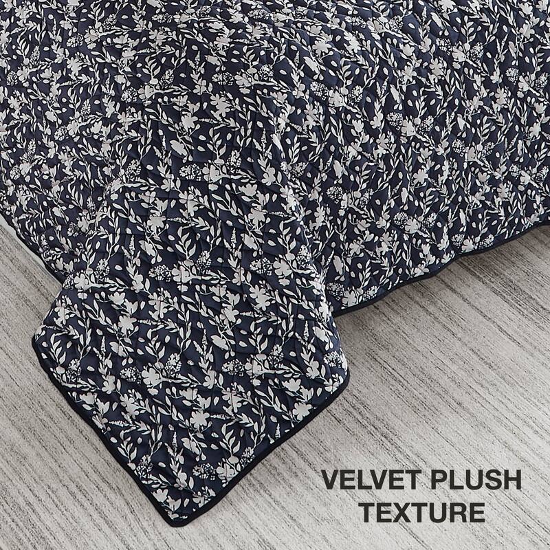 BCBG Vanna Velvet Quilt Sets