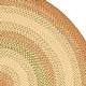 preview thumbnail 32 of 32, SAFAVIEH Handmade Braided Jemima Country Rug